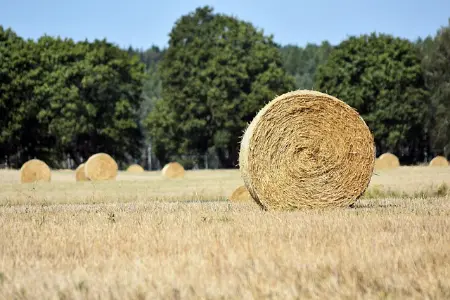 欢迎使用 Typecho